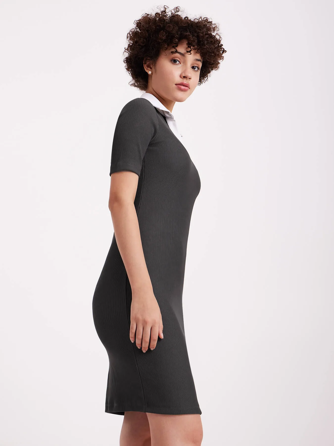 Collared Rib Knit Dress - Grey And White