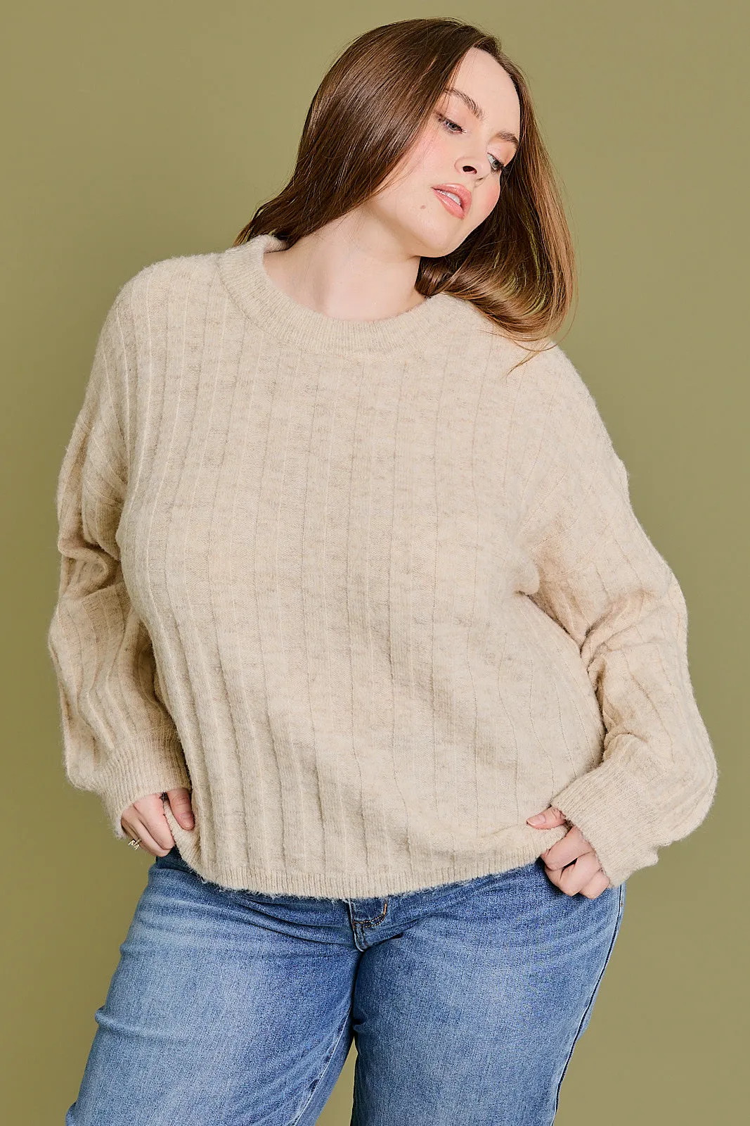 Plus Size Subtle Ribbing Detail Long Sleeve Sweater