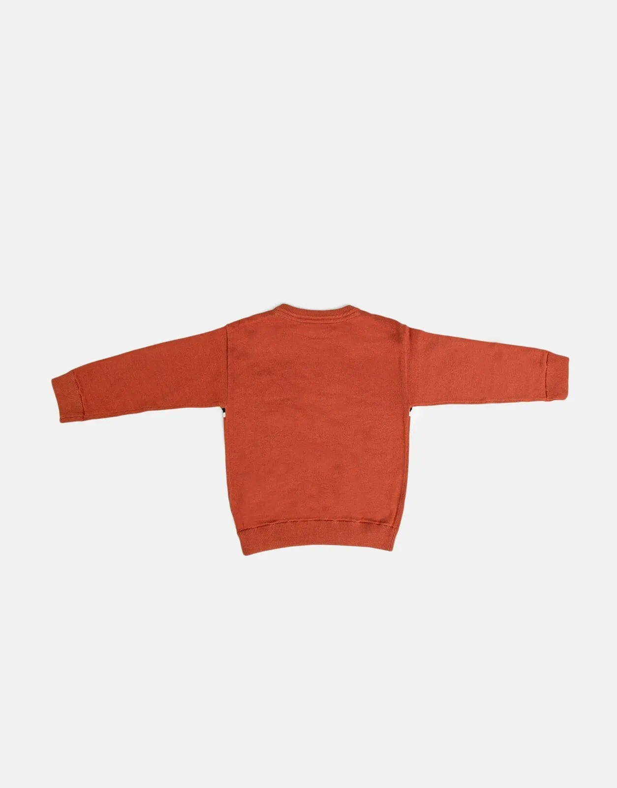 Polo Sebastian Knitted Pullover